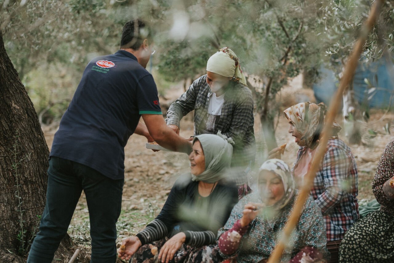 Taş Baskı Zeytinyağı: Geleneksel Üretim ve Eşsiz Aroması